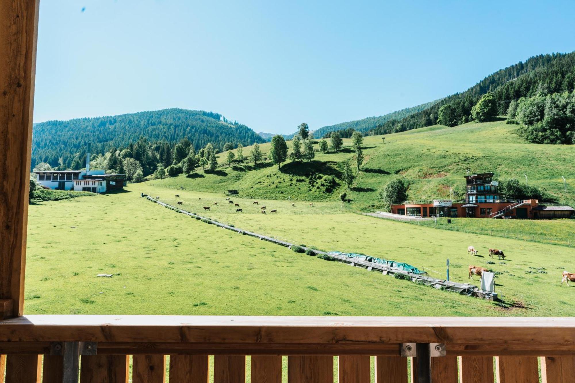 Cooee Alpin Hotel باد كلينكيرشهايم المظهر الخارجي الصورة